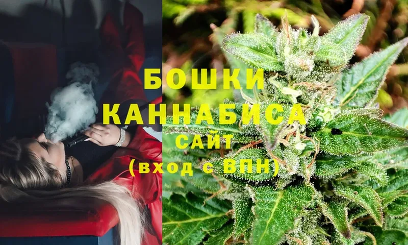 купить наркотик  Правдинск  Канабис сатива 